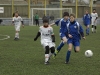 dsc0064-qpr