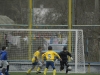 dsc0071-qpr