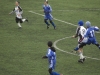 dsc0083-qpr