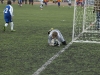 dsc0095-qpr_1