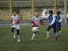 dsc0113-qpr_1