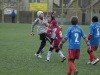 dsc0147-qpr