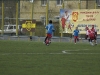 dsc0166-qpr