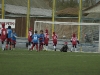 dsc0170-qpr_1