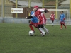 dsc0178-qpr_1