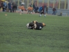 dsc0194-qpr_1