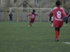 dsc0212-qpr