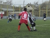 dsc0217-qpr