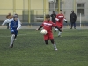 dsc0273-qpr