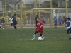 dsc0275-qpr