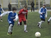 dsc0286-qpr