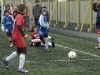 dsc0289-qpr