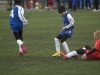 dsc0307-qpr