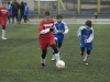 dsc0311-qpr