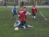 dsc0313-qpr