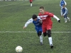 dsc0314-qpr