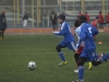 dsc0323-qpr