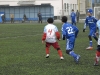 dsc0331-qpr