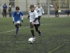 dsc0347-qpr