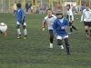 dsc0417-qpr